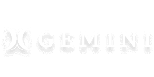 에이스 넷 logo