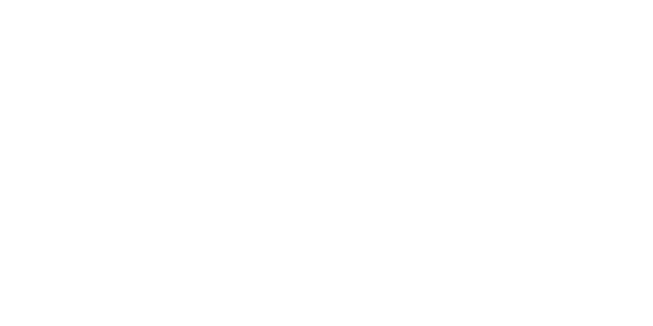 다이아몬드 칩 logo
